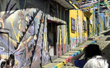 Exploring Colombia with Mejdi Tours