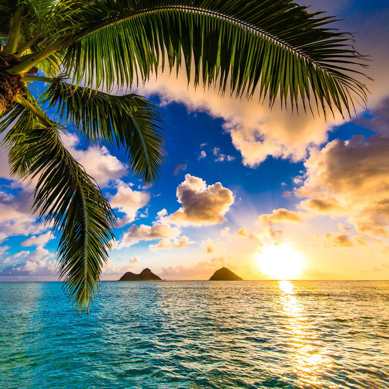 Hawaii Cruises