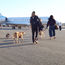 Kona Village resort on the Big Island plans a dog-friendly retreat