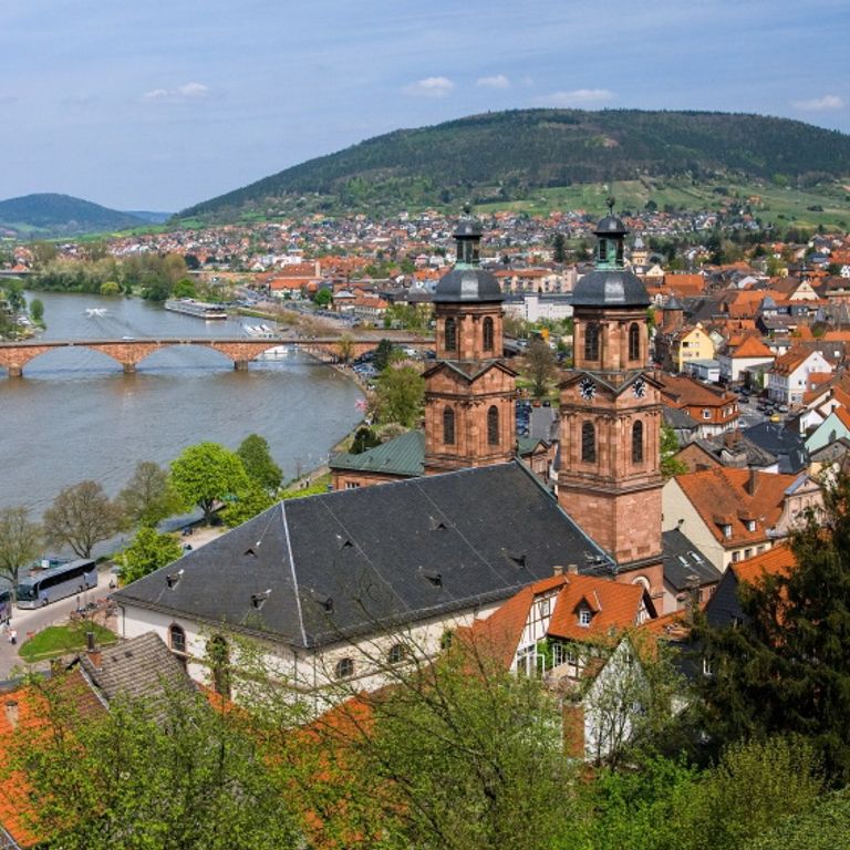 Main River Cruises