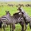 Travel to Tanzania: Does perception match reality?