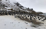 Voyage to Antarctica